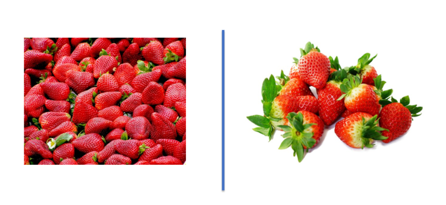 Comparing More or Less – EdQueries E-Learning